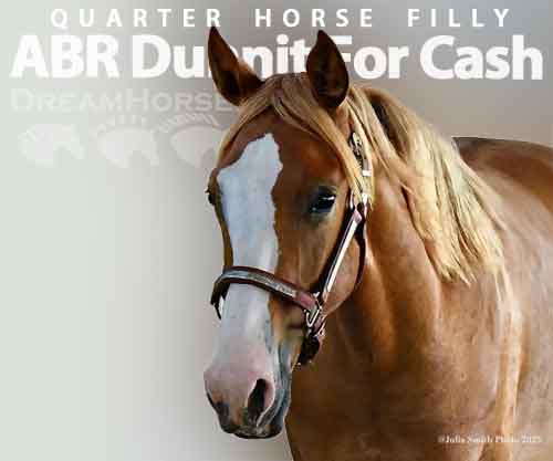 Horse ID: 2265645 ABR Dunnit For Cash