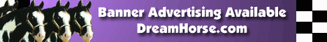 Banner Advertising Available on DreamHorse.com