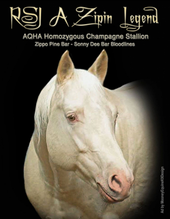 HorseID: 2246316 RSJ A ZIPIN LEGEND - PhotoID: 1008587