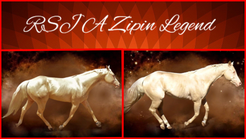 HorseID: 2246316 RSJ A ZIPIN LEGEND - PhotoID: 1008588