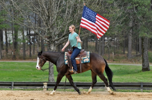 HorseID: 2271833 Nu Smoking Cash - PhotoID: 1043445