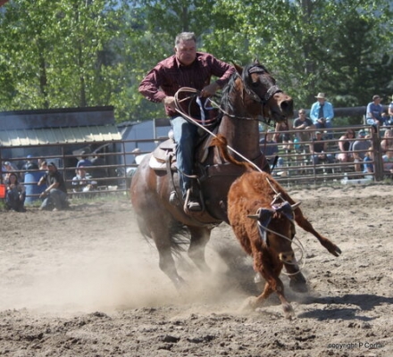 HorseID: 2213597 MAGNUM SHOOTER BUCK - PhotoID: 1054303