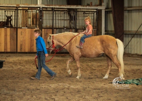 HorseID: 2246616 Lemon Drop - PhotoID: 1048804