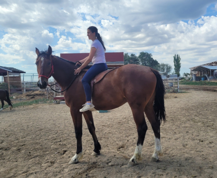 HorseID: 2253465 Undaunted courage - PhotoID: 1082358