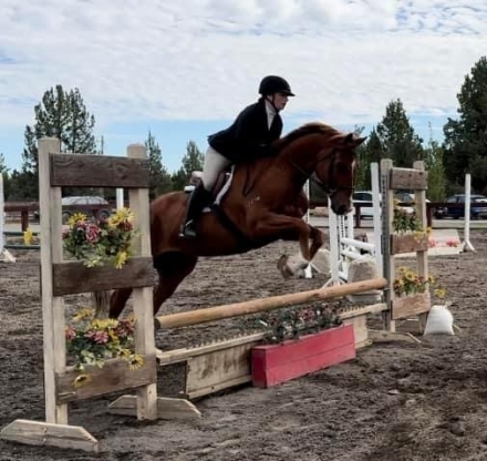 HorseID: 2258149 TBW Streakofmagic - PhotoID: 1044734