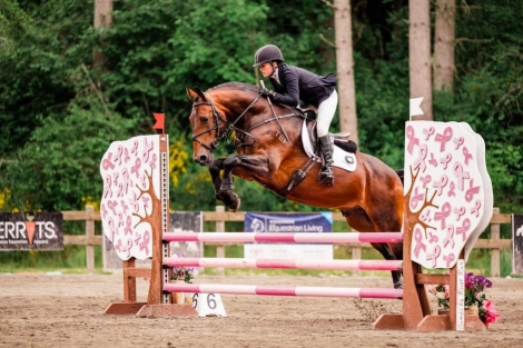 HorseID: 2271721 TBF Sherry Pink - PhotoID: 1052456