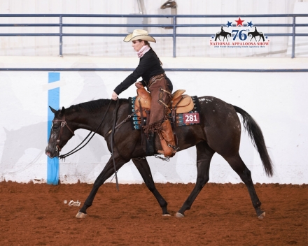 HorseID: 2277427 Beautiful black and white appaloosa mare - PhotoID: 1051012