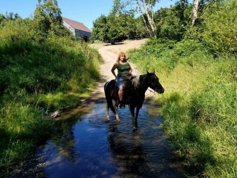 HorseID: 2278491 Flashin Cheyenne Miracle - PhotoID: 1052424