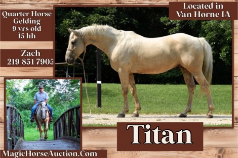 HorseID: 2278560 Titan* - PhotoID: 1052481