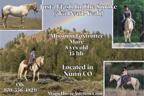 HorseID: 2278568 Justa Flash In The Smoke - PhotoID: 1052493