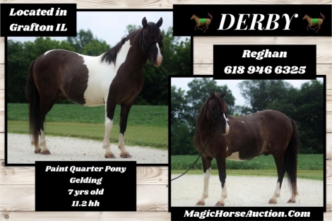 HorseID: 2278569 Derby - PhotoID: 1052494