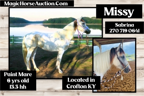 HorseID: 2278777 Missy* - PhotoID: 1052792