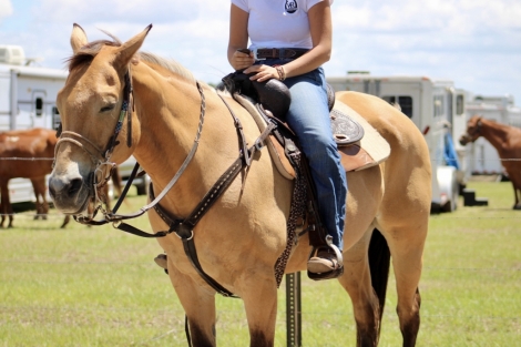 HorseID: 2278950 Quarter Horse Barrel/Rodeo/Poles - PhotoID: 1053011