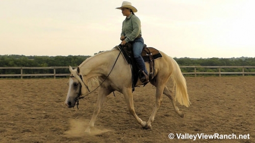 HorseID: 2278959 Flashin Her Guns - PhotoID: 1053024