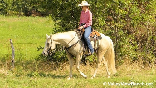 HorseID: 2278959 Flashin Her Guns - PhotoID: 1053025