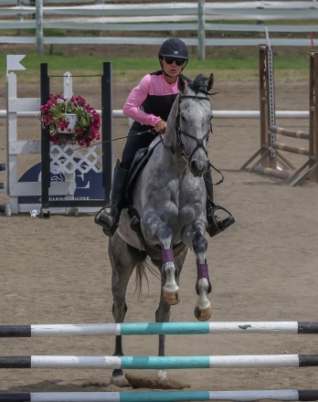 HorseID: 2279014 R Silver Echo - PhotoID: 1053101