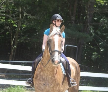 HorseID: 2279056 Duncan - PhotoID: 1053143