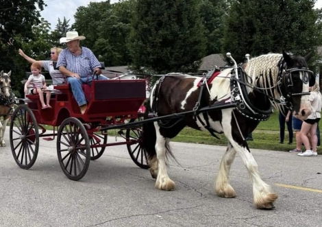 HorseID: 2279437 Gypsy Park Merlin - PhotoID: 1053700