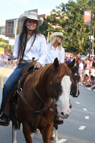 HorseID: 2279460 Sparky: Fox hunted, Parades, Trains, Shows & more - PhotoID: 1053731