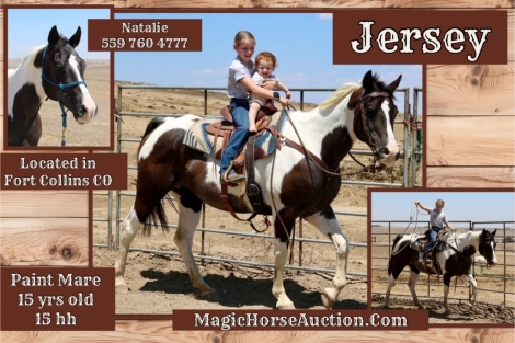 HorseID: 2279592 Jersey - PhotoID: 1053879