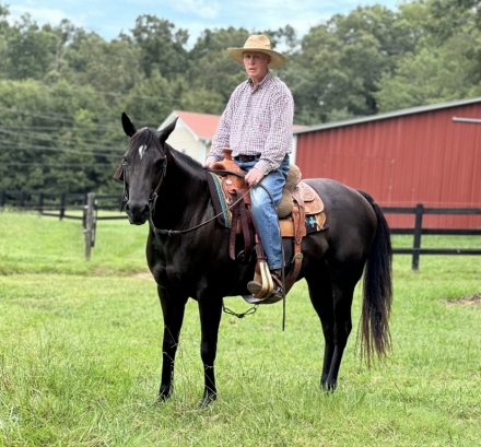 Bubbas Black Betty, Black AQHA Quarter Horse Mare, Doubled Bred Hancock ...