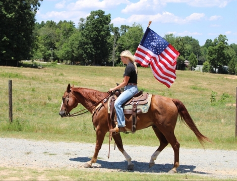 HorseID: 2279825 Young Cuttin Daisy - PhotoID: 1054213