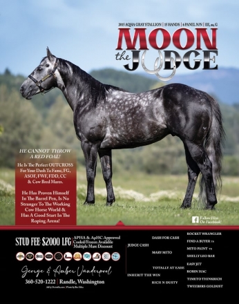 HorseID: 2280112 MOON THE JUDGE - PhotoID: 1054599