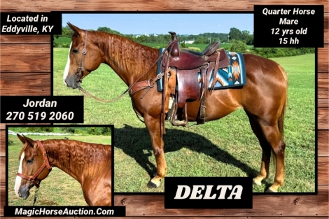 HorseID: 2280154 Delta* - PhotoID: 1054685