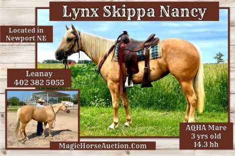 HorseID: 2280158 Lynx Skippa Nancy - PhotoID: 1054690