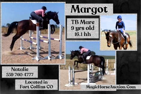 HorseID: 2280195 Margot - PhotoID: 1054720