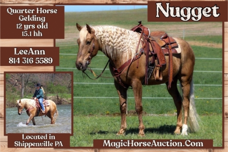 HorseID: 2280197 Nugget* - PhotoID: 1054722