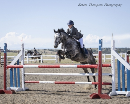 HorseID: 2280473 Coyote Coulee - PhotoID: 1055089