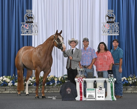 HorseID: 2280495 Charmingly Cool ~ AQHA/APHA Show Mare - PhotoID: 1055115