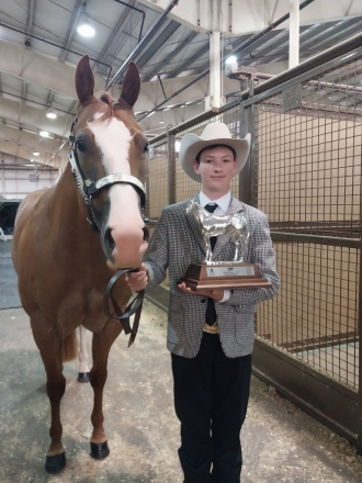 HorseID: 2280495 Charmingly Cool ~ AQHA/APHA Show Mare - PhotoID: 1055119