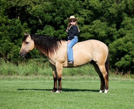 HorseID: 2280540 COLONEL DOC PATRON - PhotoID: 1055196