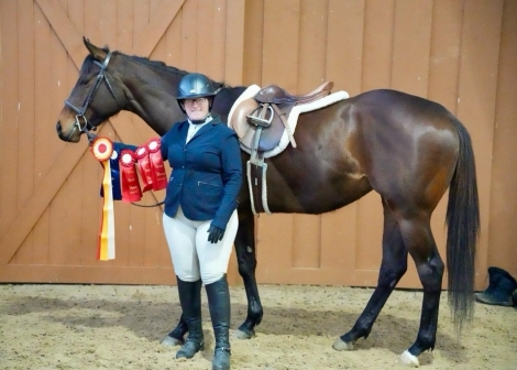 HorseID: 2280587 Misty’s Gold - PhotoID: 1055247