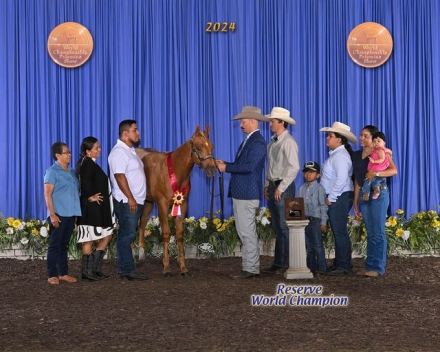 HorseID: 2280599 Big Yella - PhotoID: 1055276