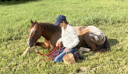 HorseID: 2280655 BAILEY ON THE ROCKS - PhotoID: 1055337