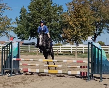 HorseID: 2283022 Quaprice - PhotoID: 1081022