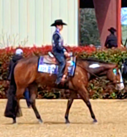 HorseID: 2292029 Rio Hot N Reddy - PhotoID: 1073103