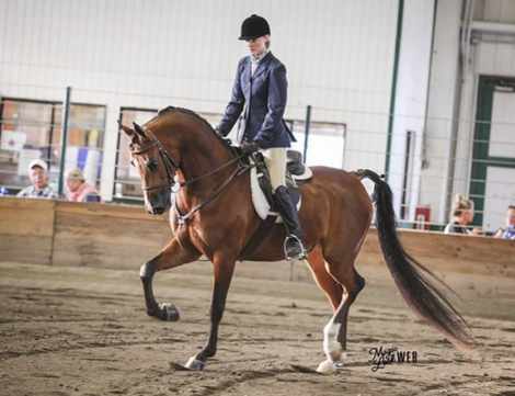 HorseID: 2292166 ROL Fire Ball - PhotoID: 1081262