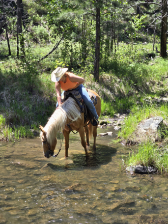 HorseID: 2292854 Flashbac Peppy - PhotoID: 1082512