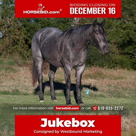 HorseID: 2247451 Blues Shakerag - PhotoID: 1033502