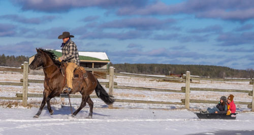 HorseID: 2249906 BLACKBURN POCO JOKER - PhotoID: 1049438