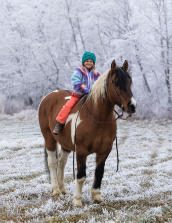 HorseID: 2249908 Calico - PhotoID: 1063945