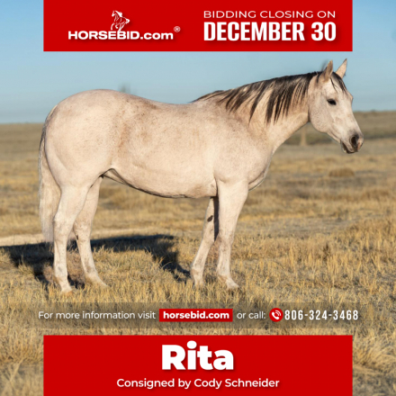 HorseID: 2249911 Rita - PhotoID: 1045896