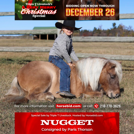 HorseID: 2275761 Nugget - PhotoID: 1048791