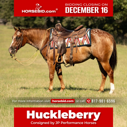 HorseID: 2280899 Im Your Huckleberry - PhotoID: 1055720