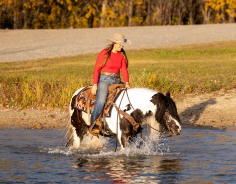 HorseID: 2280901 Elvis of River’s Edge - PhotoID: 1055707