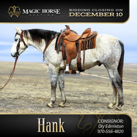 HorseID: 2286432 Hank - PhotoID: 1063198